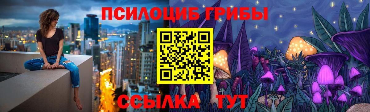 A PVP Нерюнгри